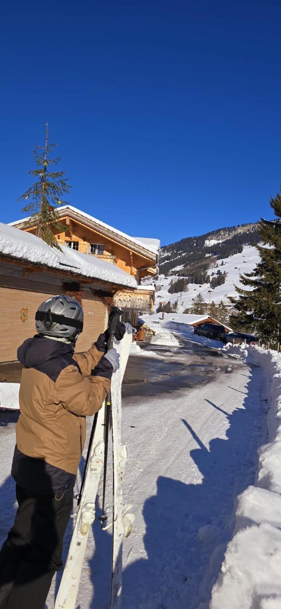 Large Deluxe Studio For 2 - Chalet Lovo Lenk Exteriör bild